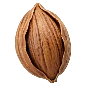 Pecan Nut Png Jyn43 PNG Image