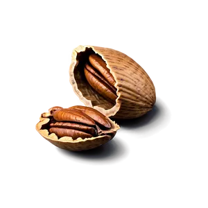 Pecan Shell Png Ulx20 PNG Image