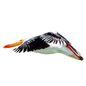 Pelican In Flight Png Gwj PNG Image