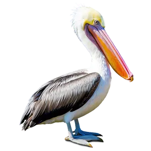 Pelican In Natural Habitat Png Soq25 PNG Image