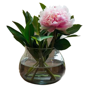 Peonies In Vase Png 06272024 PNG Image