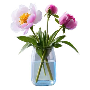 Peonies In Vase Png Umk99 PNG Image