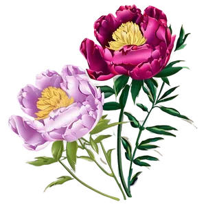 Peony Cricut Design Inspiration Png Gaq75 PNG Image