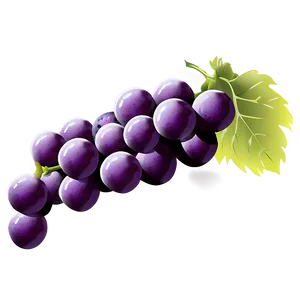 Perfect Grape Illustration Png 69 PNG Image