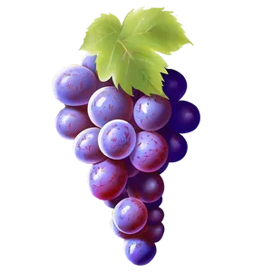 Perfect Grape Illustration Png Iwr PNG Image