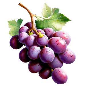 Perfect Grape Illustration Png Nrj PNG Image