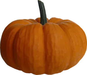 Perfect Orange Pumpkinon Blue Background.png PNG Image