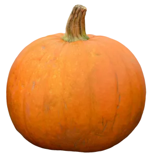 Perfect Orange Pumpkinon Gray Background.png PNG Image