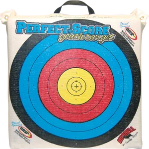 Perfect Score Archery Target PNG Image