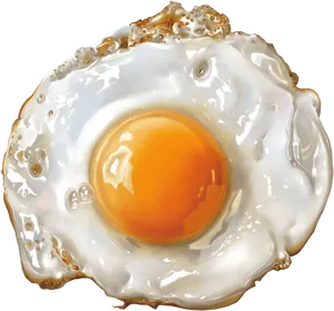 Perfectly Fried Egg.png PNG Image