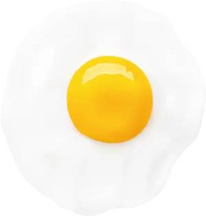 Perfectly Fried Egg Top View PNG Image