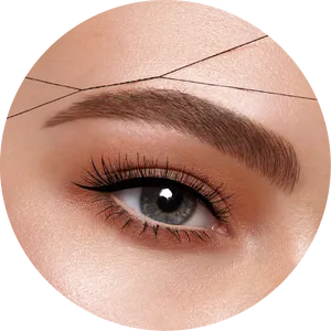 Perfectly Groomed Eyebrowand Eye Makeup PNG Image