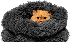 Persian Cat Cozyin Fluffy Blanket PNG Image