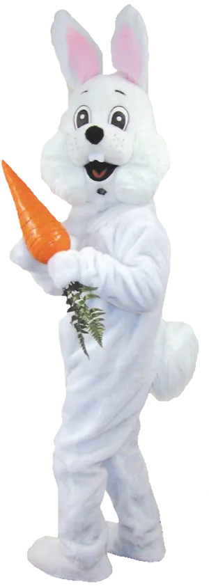 Personin Bunny Costume Holding Carrot PNG Image