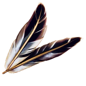 Peso Pluma Graphic Png 06132024 PNG Image