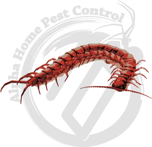 Pest Control Centipede Logo PNG Image