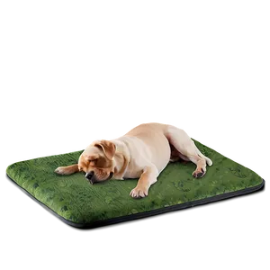 Pet-friendly Mat Png Tmm32 PNG Image