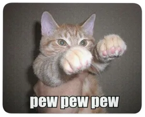 Pew Pew Cat Meme PNG Image