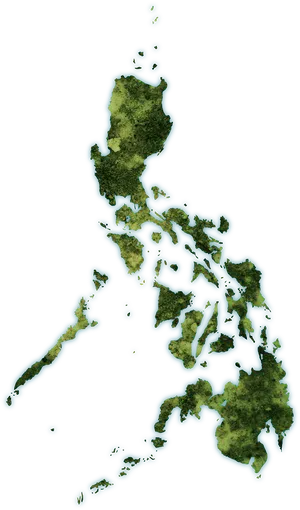 Philippines Topographic Map PNG Image