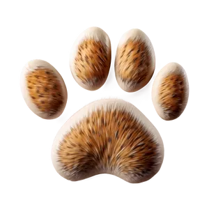 Photorealistic Cat Paw Png Bbf PNG Image