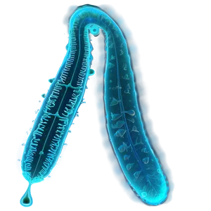 Phytoplankton Vs Zooplankton Png Lmy63 PNG Image