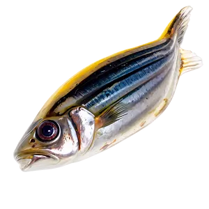 Pickled Sardines Png Hcj PNG Image