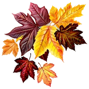 Pile Of Autumn Leaves Png 06292024 PNG Image