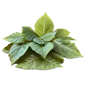 Pile Of Leaves In Sunlight Png 39 PNG Image