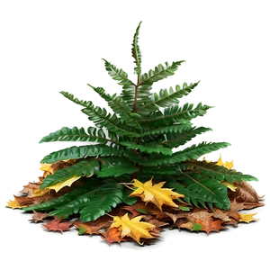 Pile Of Leaves Under Tree Png 06212024 PNG Image