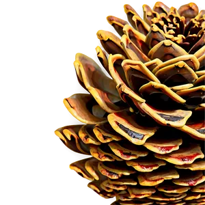 Pine Cone Decoration Png Gnm PNG Image