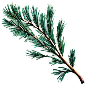 Pine Tree Branches Png 90 PNG Image