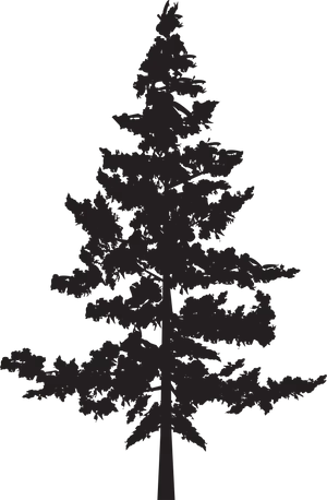 Pine Tree Silhouette Graphic PNG Image