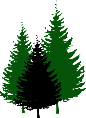 Pine_ Tree_ Silhouette_ Vector PNG Image