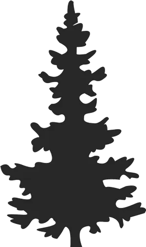 Pine_ Tree_ Silhouette_ Vector PNG Image