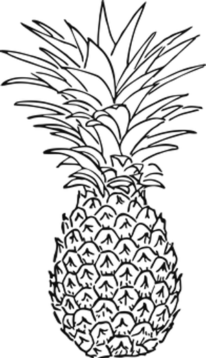 Pineapple Silhouette Outline PNG Image