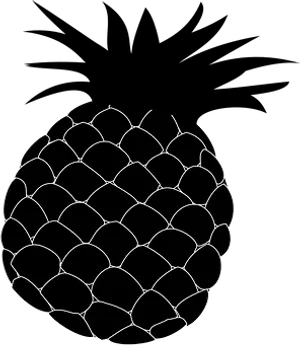 Pineapple Sketch Art PNG Image