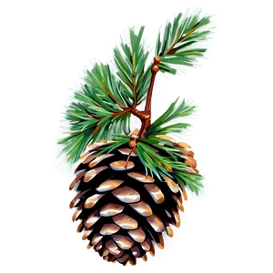 Pinecone With Branch Png 62 PNG Image