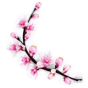 Pink Blossom Png 57 PNG Image