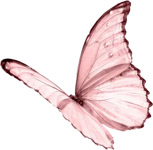 Pink Butterfly Black Background PNG Image