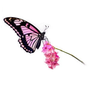 Pink Butterfly In Flight Png Ovo27 PNG Image