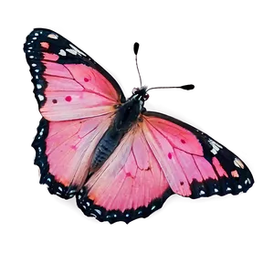 Pink Butterfly In Wild Png 24 PNG Image