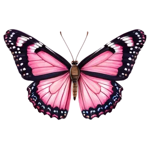 Pink Butterfly Realistic Image Png Yet16 PNG Image