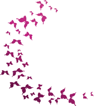 Pink Butterfly Silhouetteson Black PNG Image