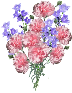 Pink Carnationsand Purple Flowers Bouquet PNG Image