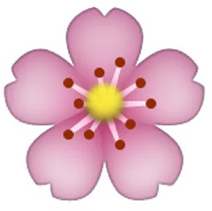 Pink Cherry Blossom Emoji PNG Image