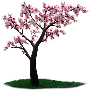 Pink Cherry Tree Png Mlp PNG Image