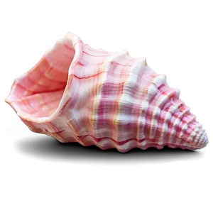 Pink Conch Shell Illustration Png Dif69 PNG Image