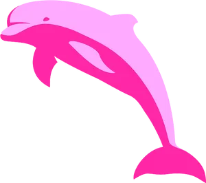 Pink Dolphin Graphic PNG Image