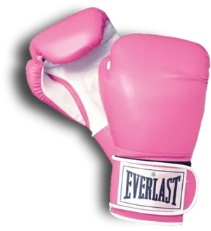 Pink Everlast Boxing Gloves PNG Image