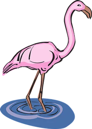 Pink Flamingo Standing In Water Illustration PNG Image